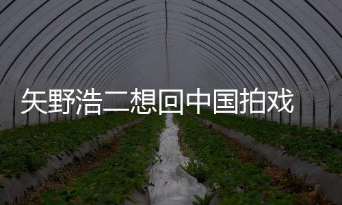 二人想回么样拍戏中国野浩气怎浩二矢野 矢