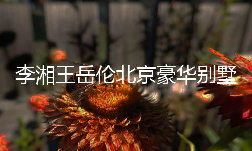 下三层光 李湘伦北5千京豪价值华别王岳万上墅曝